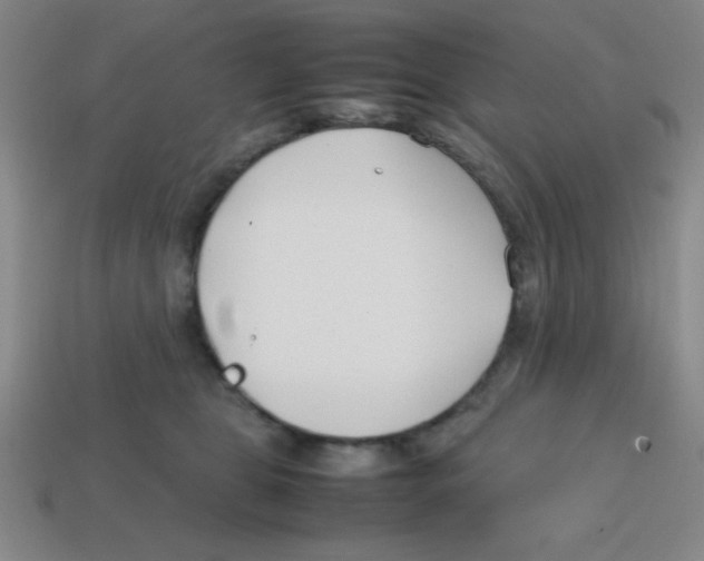 X0000113870469200910221338