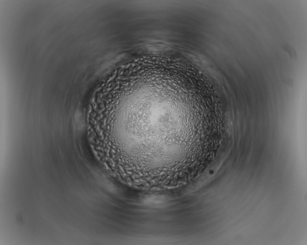X0000113870471200910221338