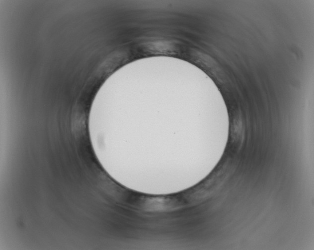 X0000113870473200910221338