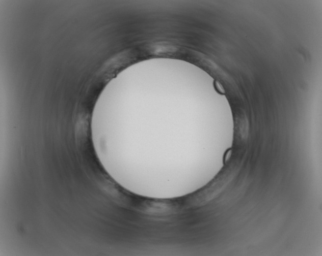 X0000113870475200910221338
