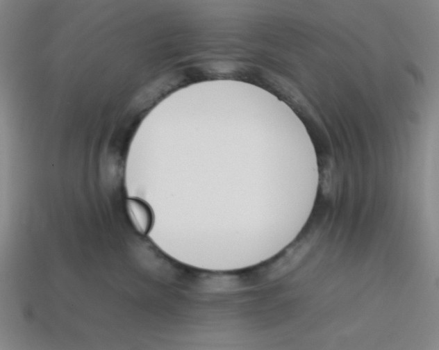 X0000113870476200910221338
