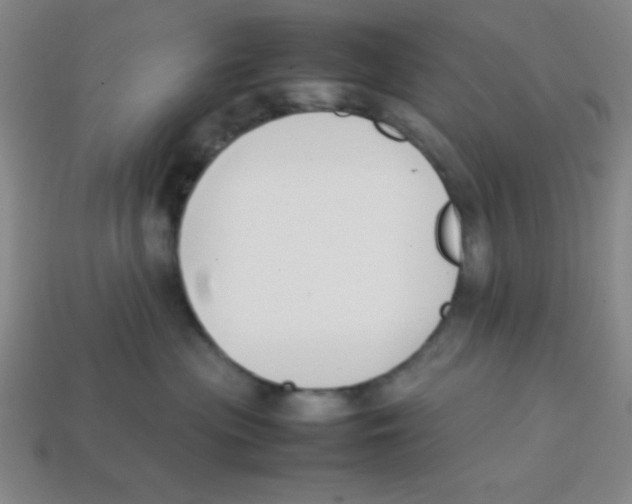 X0000113870477200910221338