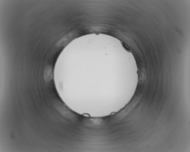 X0000113870478200910221339