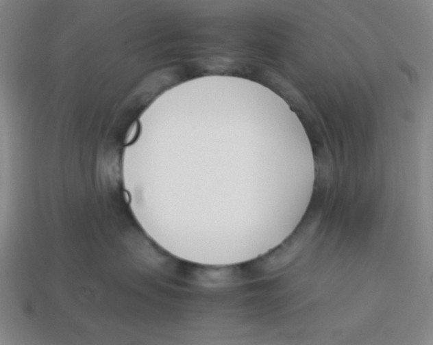 X0000113870479200910221339