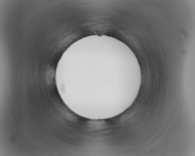 X0000113870480200910221339