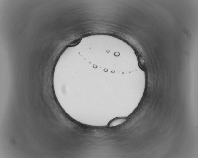 X0000113870481200910221338
