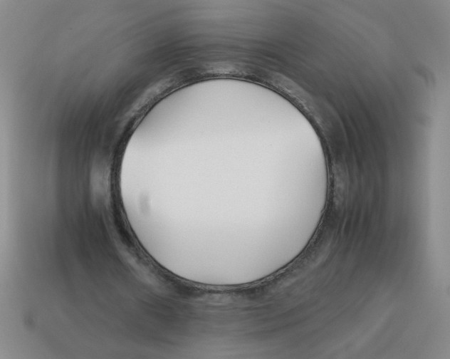 X0000113870482200910221338