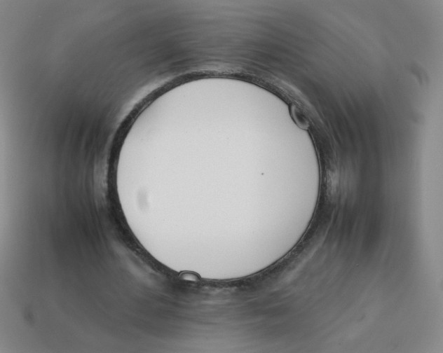 X0000113870484200910221338