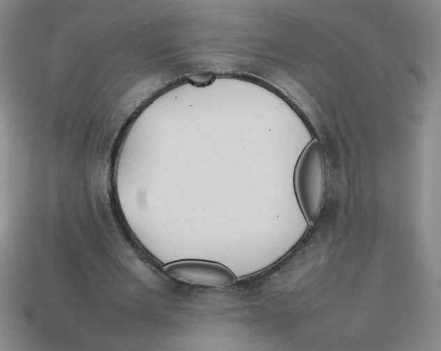 X0000113870485200910221338
