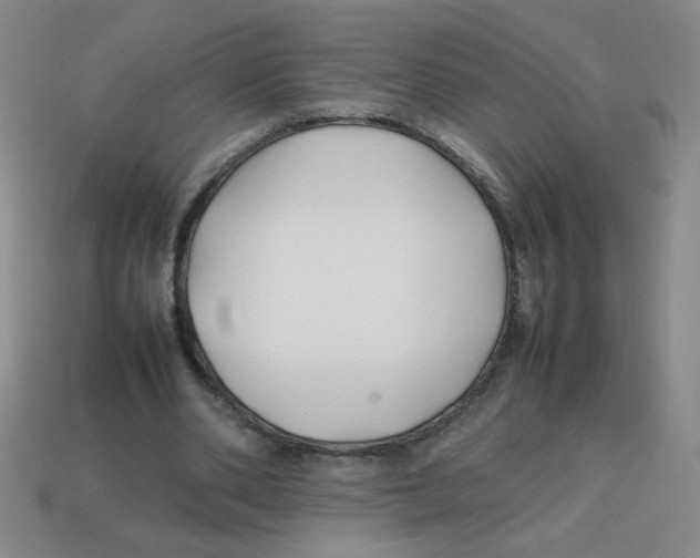 X0000113870486200910221338