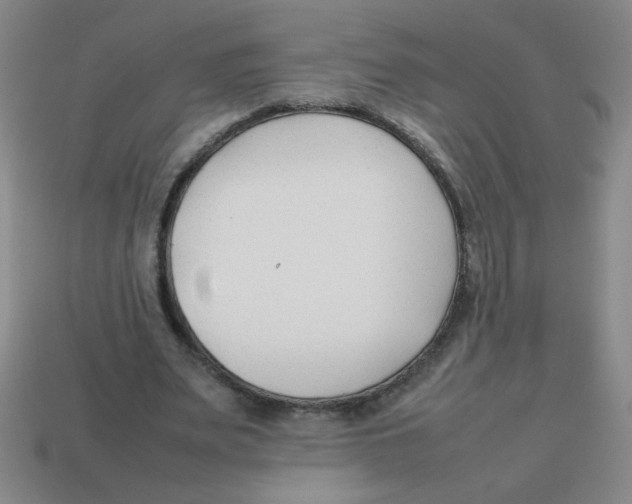 X0000113870487200910221338