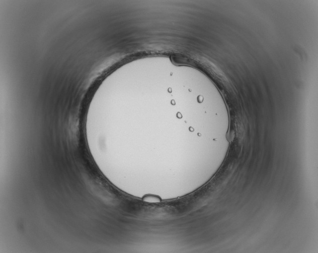 X0000113870488200910221338