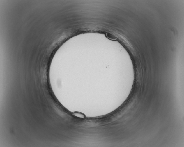 X0000113870489200910221338