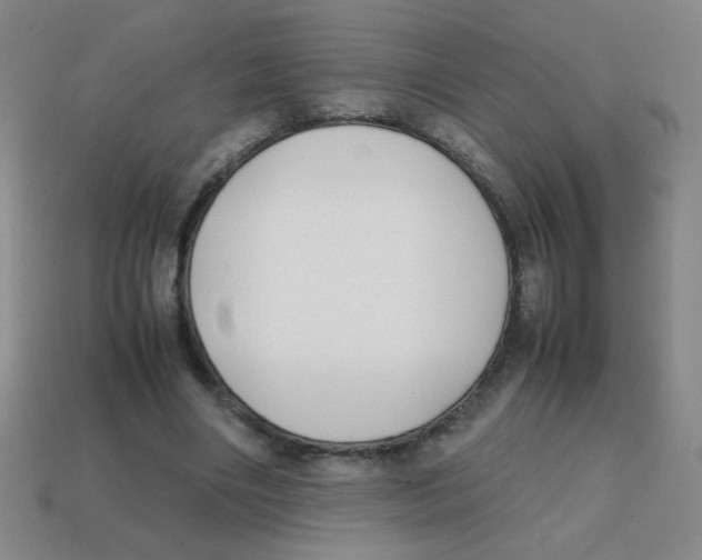 X0000113870490200910221338