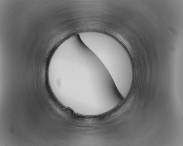 X0000113870493200910221338