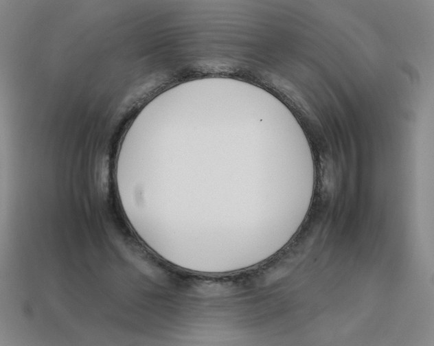 X0000113870494200910221338