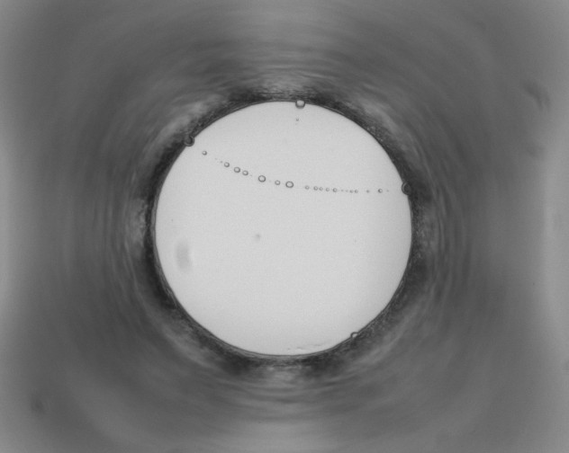 X0000113870495200910221338