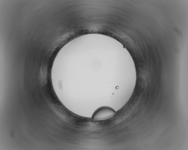 X0000113870496200910221338