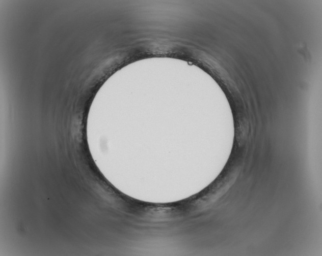 X0000113870497200910221338