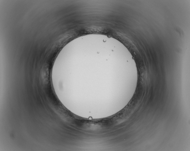 X0000113870498200910221338