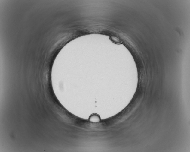X0000113870501200910221337