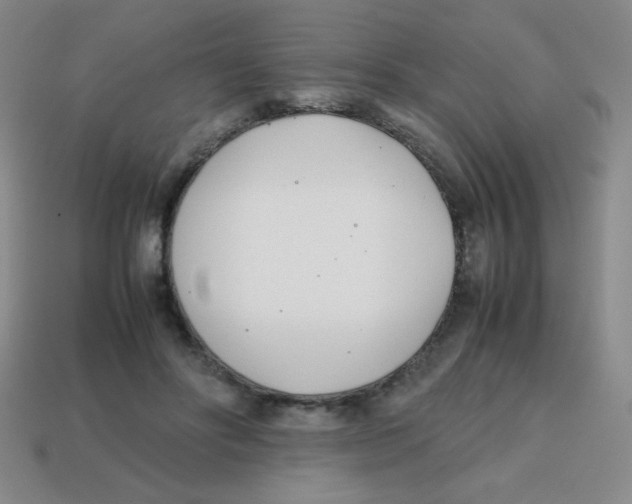 X0000113870502200910221337