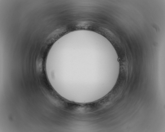 X0000113870504200910221337