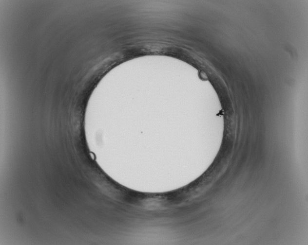 X0000113870505200910221337