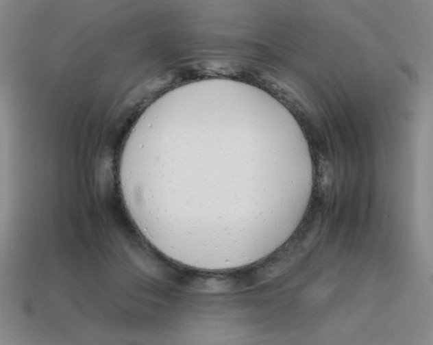 X0000113870506200910221337