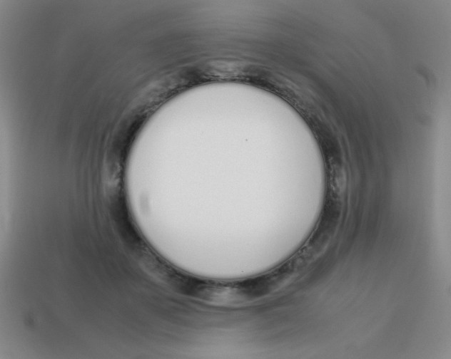 X0000113870507200910221337