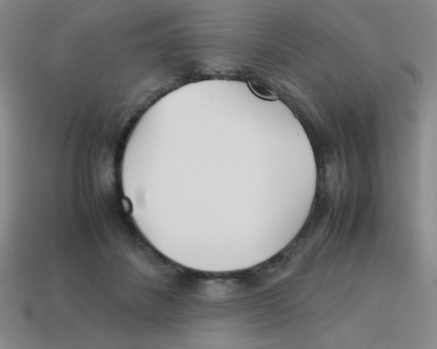 X0000113870508200910221337
