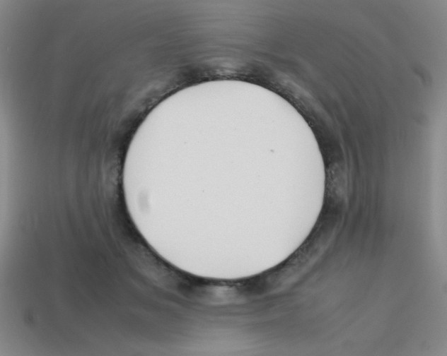 X0000113870509200910221337