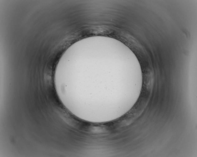 X0000113870510200910221337