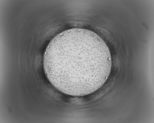 X0000113870511200910221337
