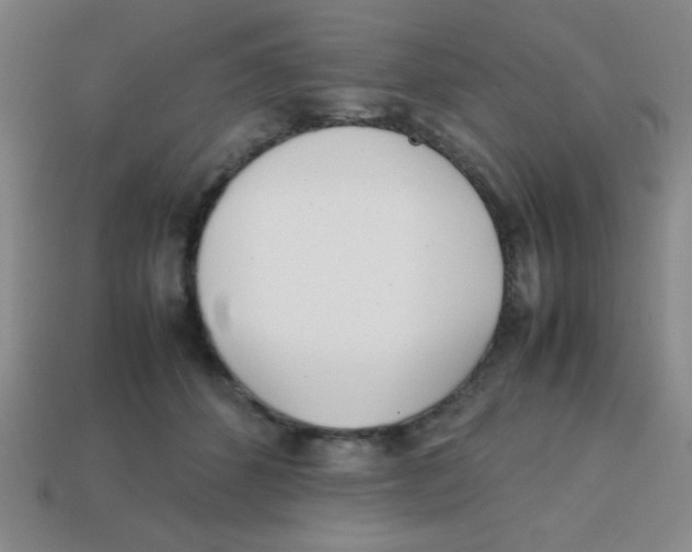 X0000113870512200910221337