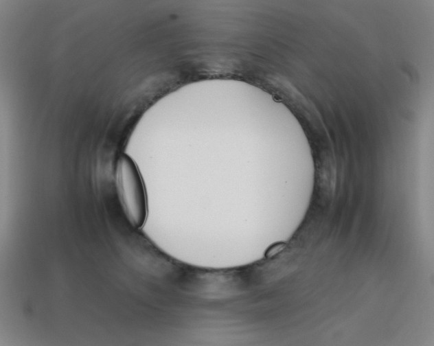 X0000113870516200910221337