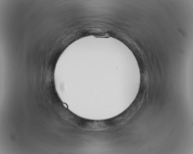 X0000113870517200910221337