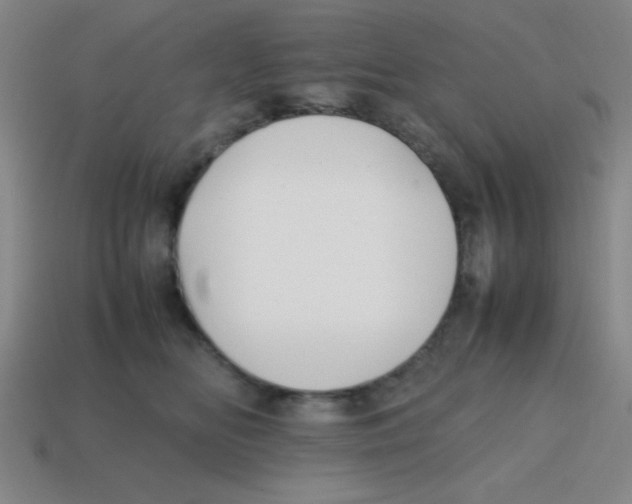 X0000113870518200910221337