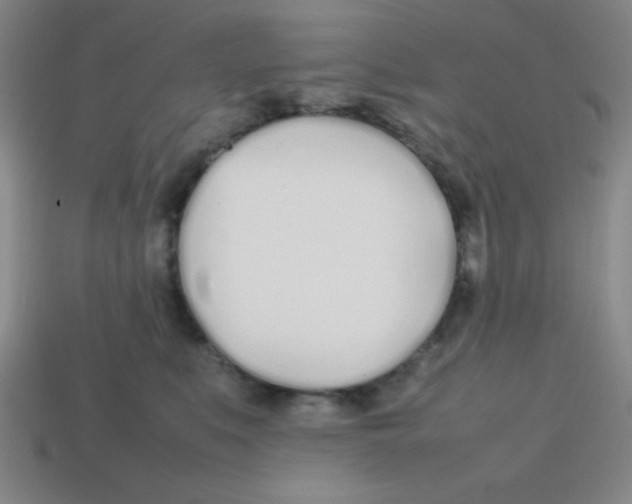 X0000113870519200910221337