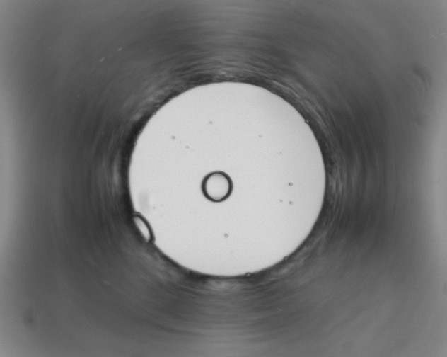 X0000113870520200910221337