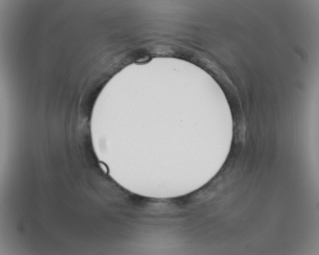 X0000113870521200910221337