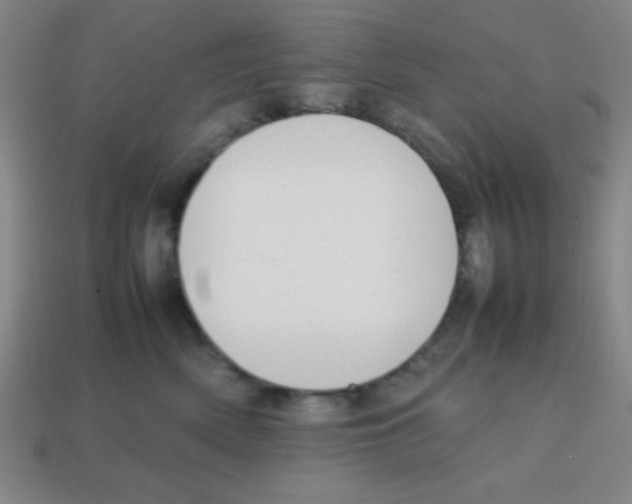 X0000113870522200910221337