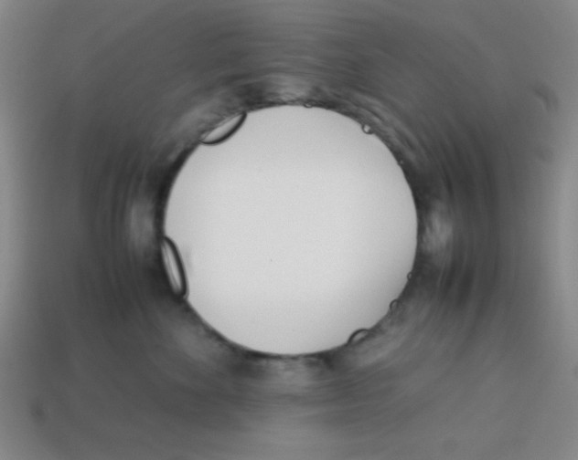 X0000113870524200910221337