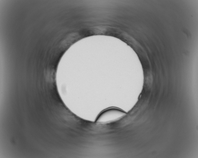 X0000113870525200910221337