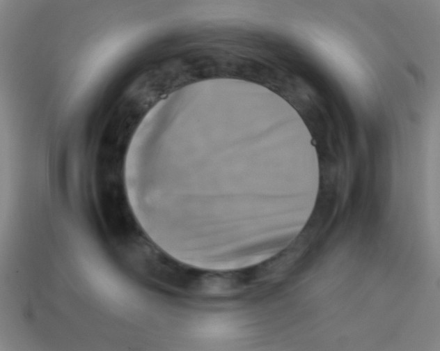 X0000113870526200910221337