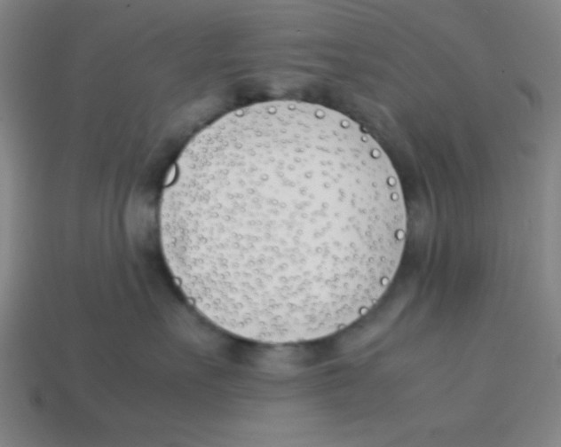 X0000113870527200910221337