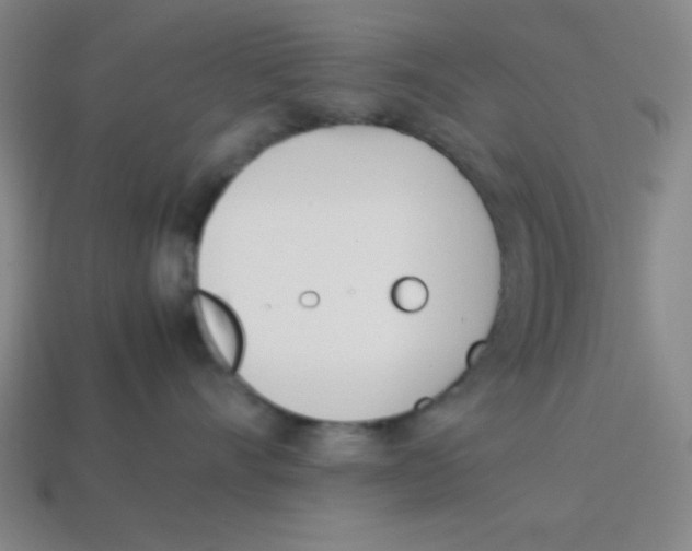 X0000113870528200910221337