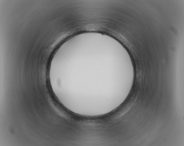 X0000113870530200910221336