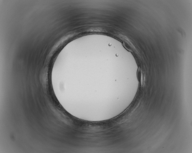 X0000113870531200910221336