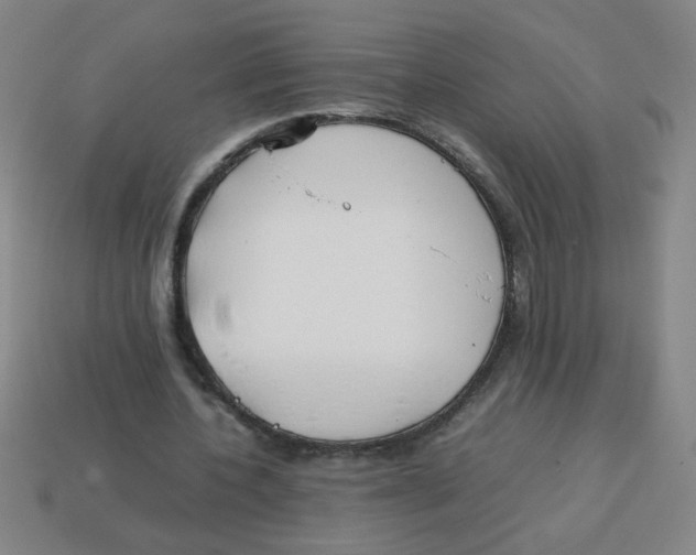 X0000113870532200910221336